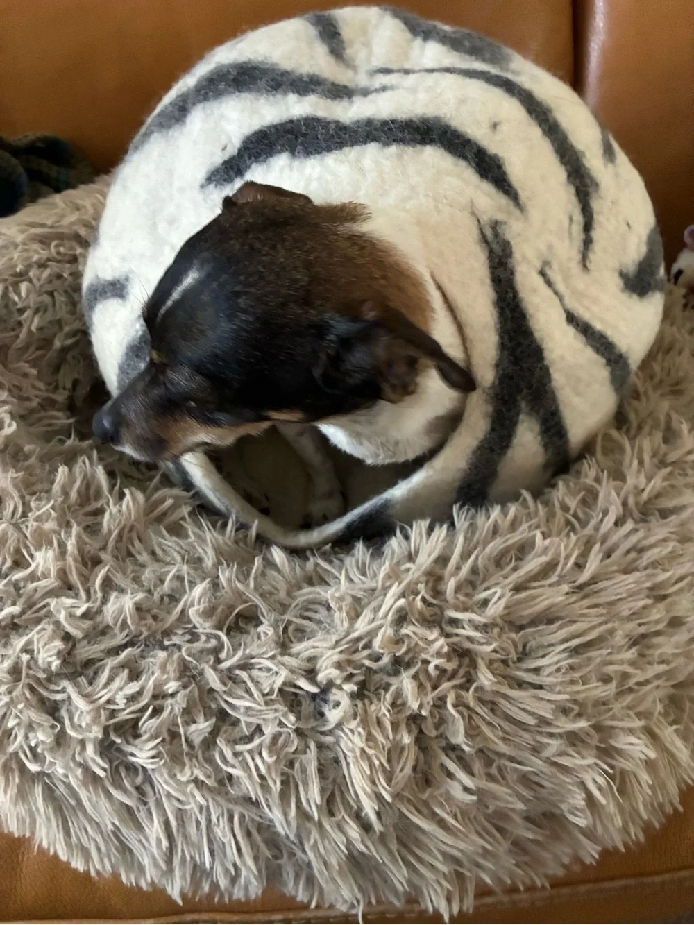 Cozy Felted Wool Pet Cave Bed - White & Gray